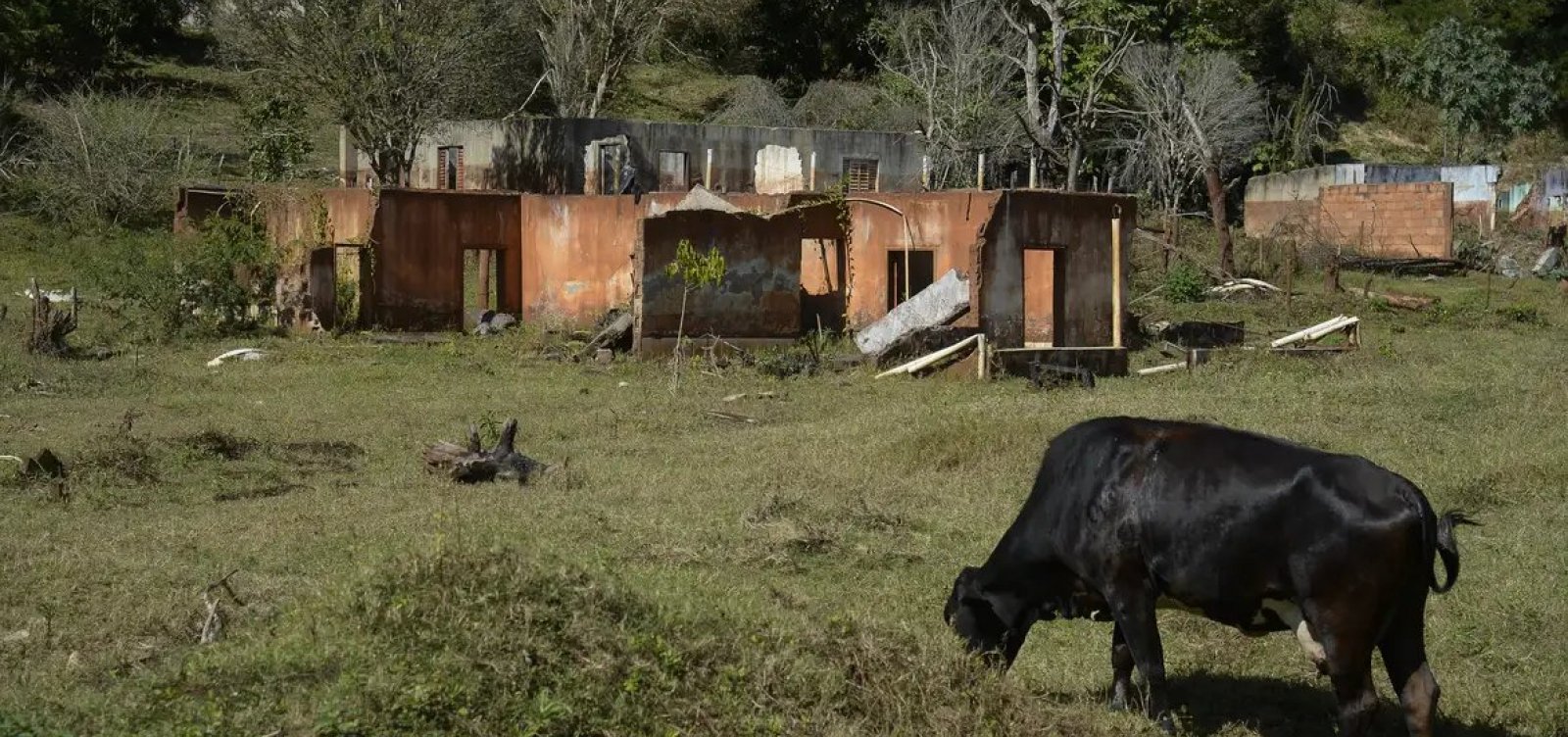 Corte Britânica inicia julgamento sobre tragédia em Mariana