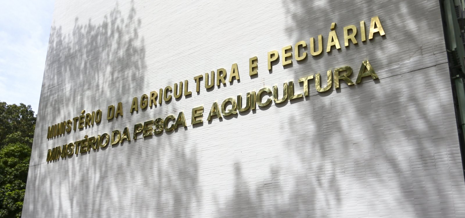 12 marcas de azeite têm venda proibida por Ministério da Agricultura