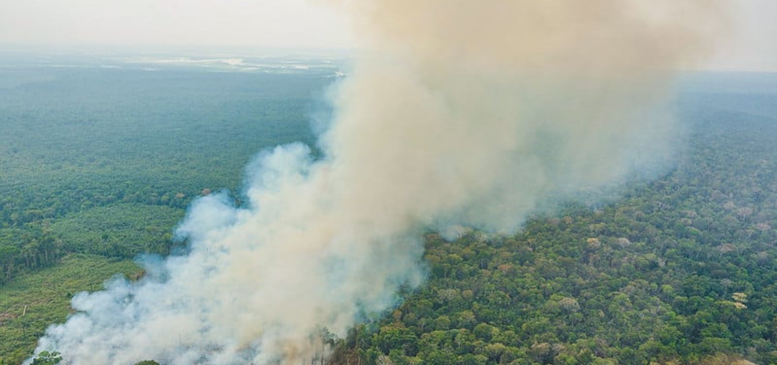 Degradação de florestas na Amazônia bate recorde mensal em setembro