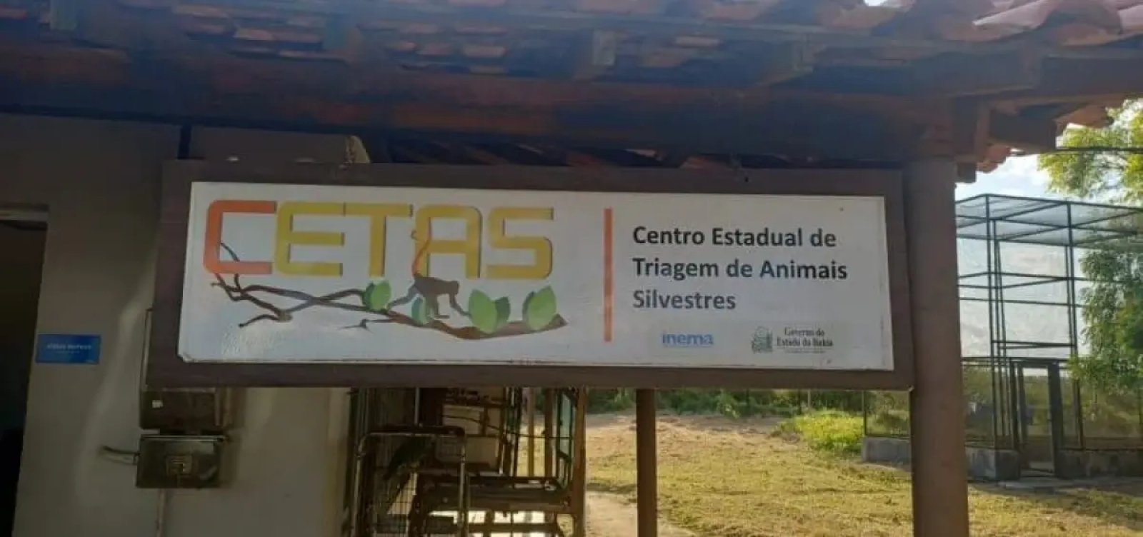 Força-tarefa resgata quase mil animais silvestres na Chapada Diamantina