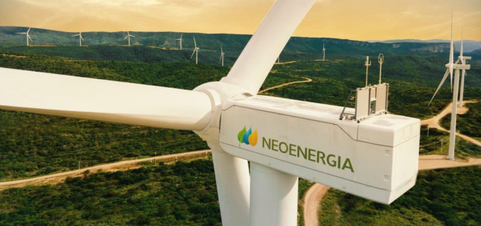 Grupo CCR e Neoenergia fecham acordo para autoprodução eólica no Nordeste