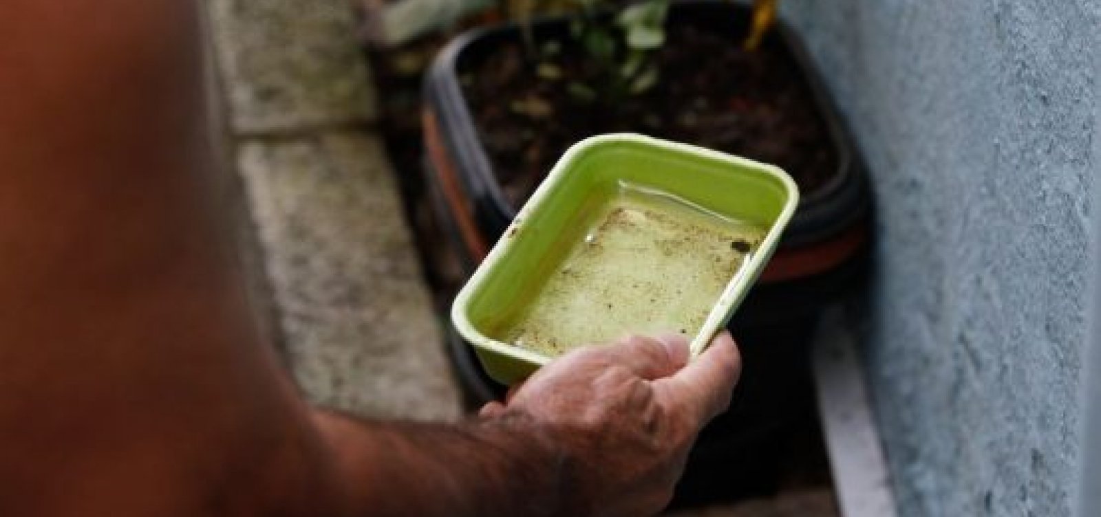 Quase 1 em cada 5 casos de dengue pode ser atribuído à mudança climática, revela estudo