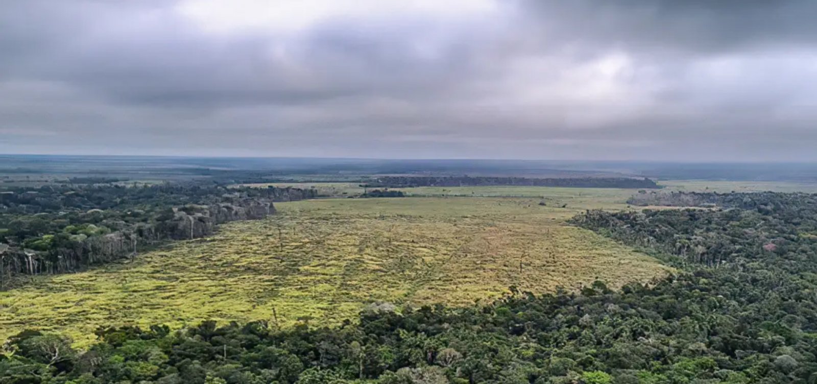 Amazônia registra o quinto mês consecutivo no aumento do desmatamento