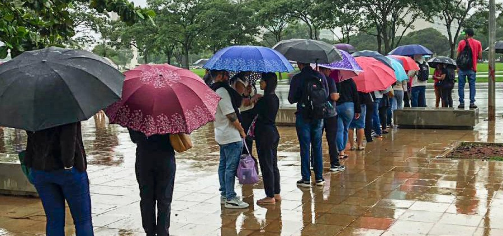 Chuvoso e menos quente: confira a previsão do tempo para dezembro pelo Brasil