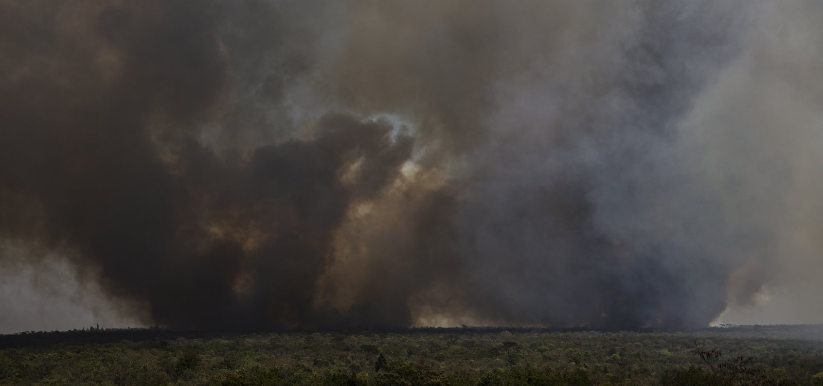 Número de queimadas na Amazônia é o maior em quase duas décadas