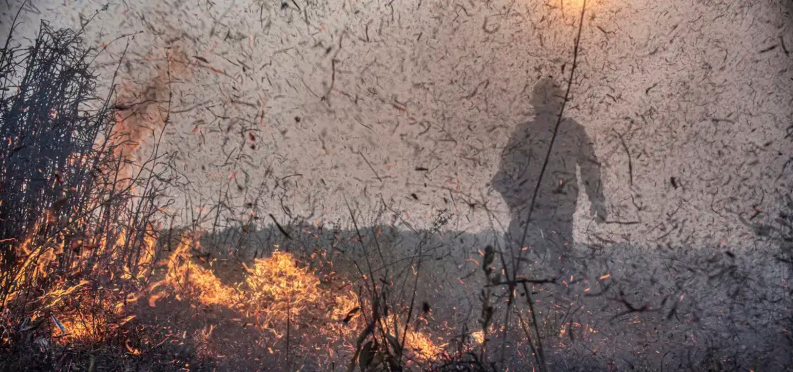 Brasil tem maior número de incêndios em 14 anos