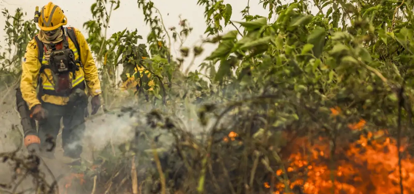 Brasil enfrenta 1 milhão de focos de queimada em quatro anos  