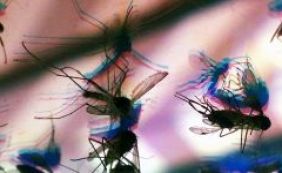 Brasil já teve 1.198 casos de microcefalia confirmados, diz Ministério da Saúde