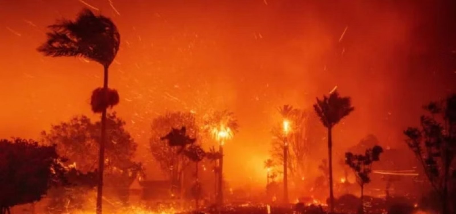 Incêndios florestais em Los Angeles deixam cinco pessoas mortas 