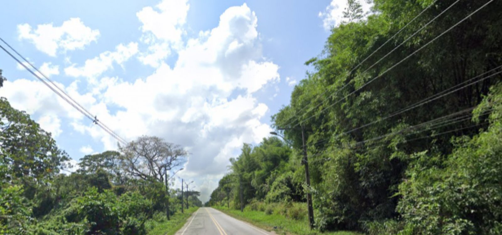 Obras do VLT na Estrada do Derba removem vegetação, mas CTB garante licença ambiental