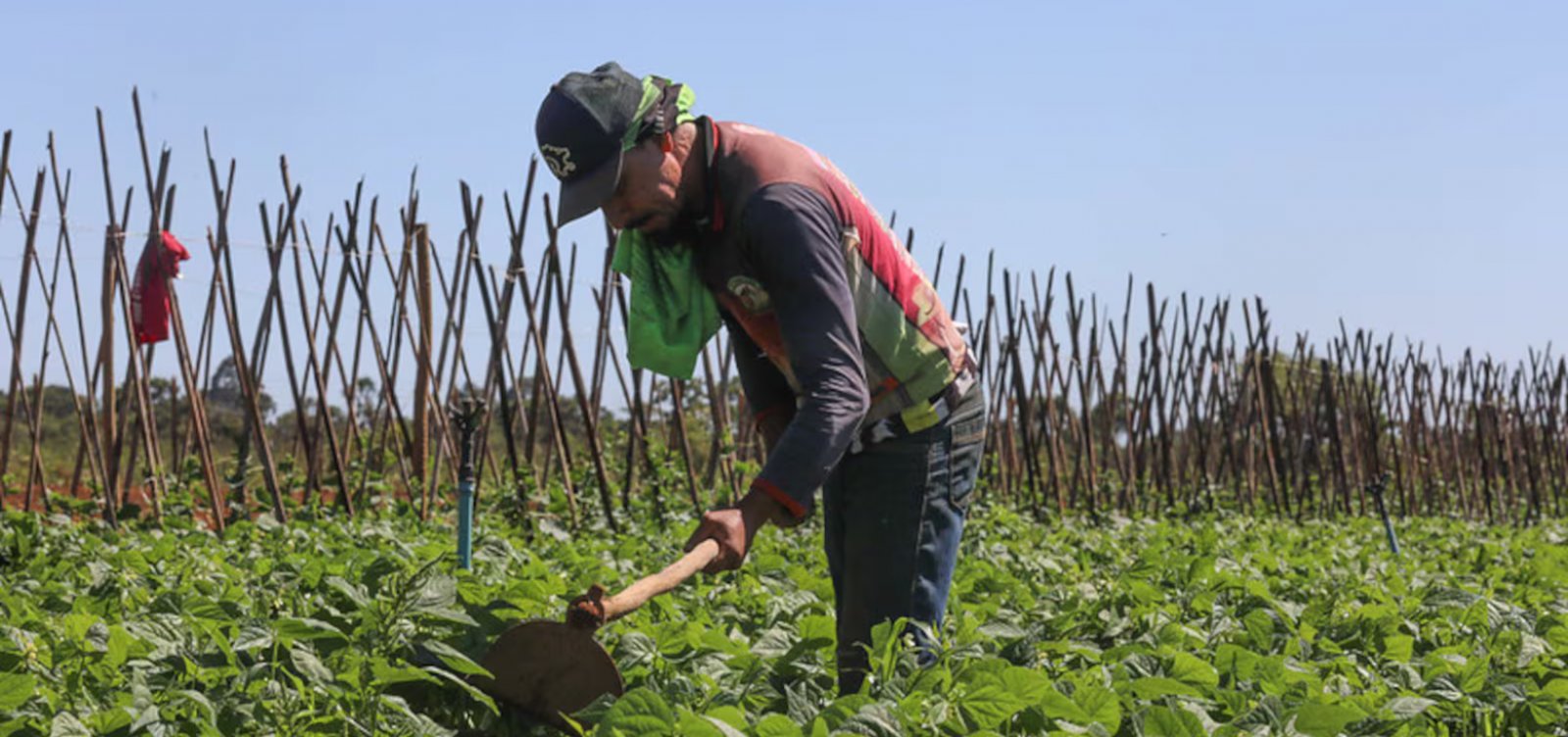 Governo institui grupo de trabalho para PAC da agricultura familiar