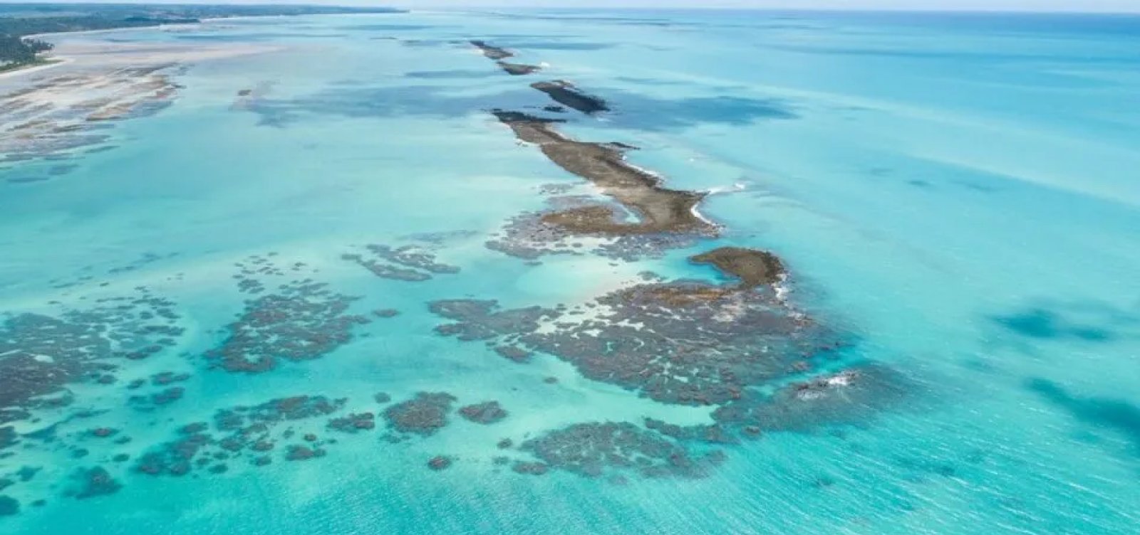 Justiça Federal suspende decreto que permite turismo em massa na Lagoa Azul em Maragogi 