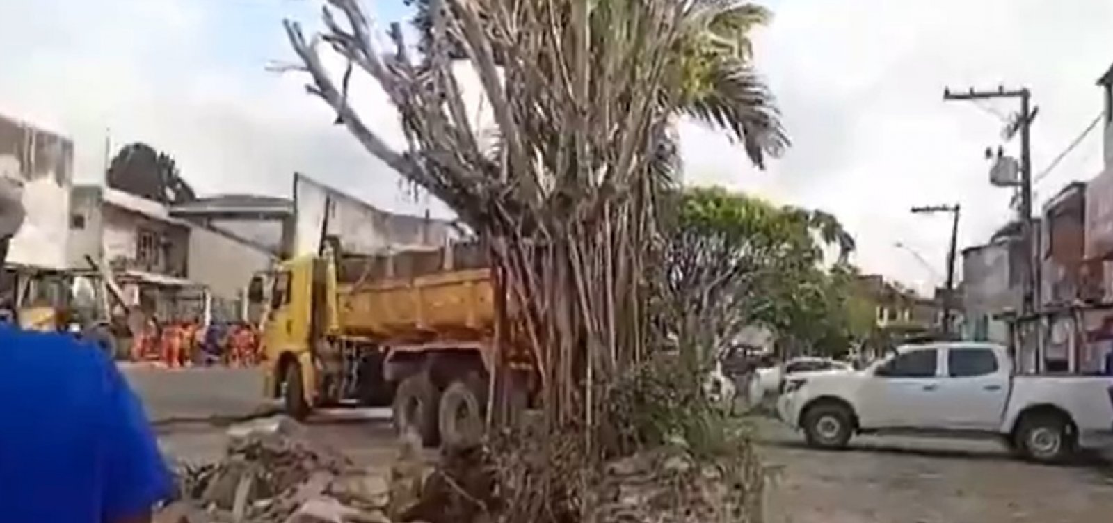 Prefeitura de município baiano derruba árvore sagrada durante demolição de barraca