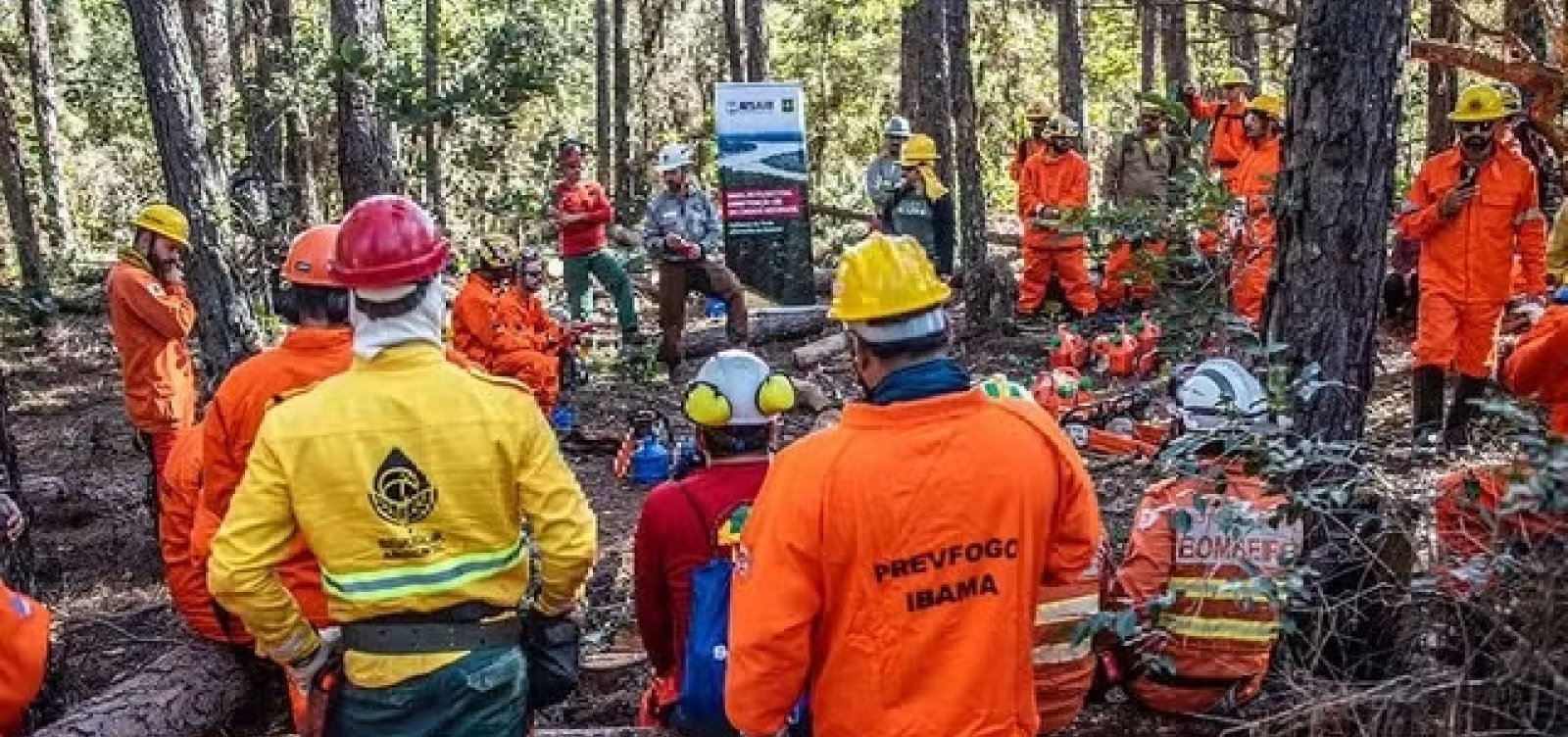 Suspensão de ajuda externa dos EUA afeta programa de combate a incêndios no Brasil