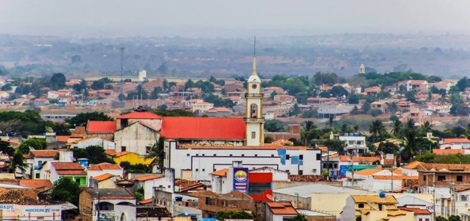 Ministério Público investiga decreto que autoriza abate de animais abandonados em município da Bahia