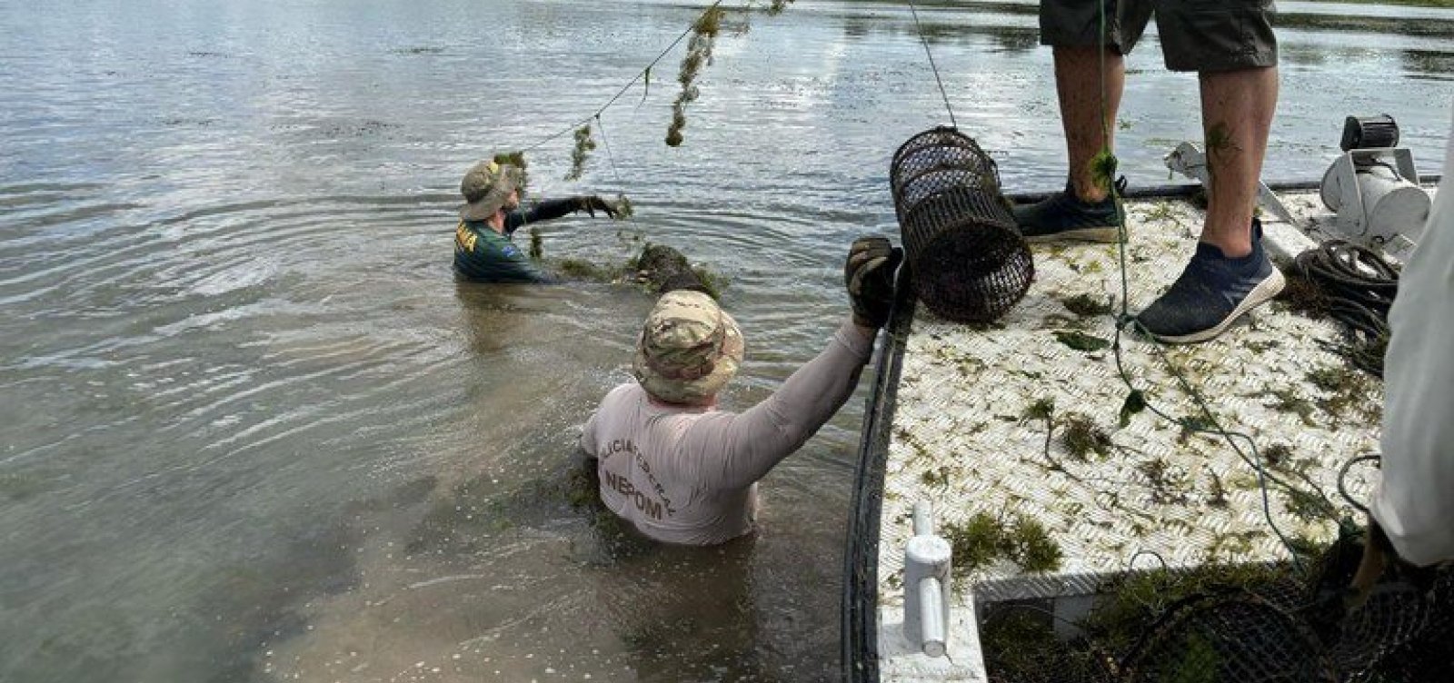 PF e Ibama encerram operação contra pesca ilegal no Rio São Francisco