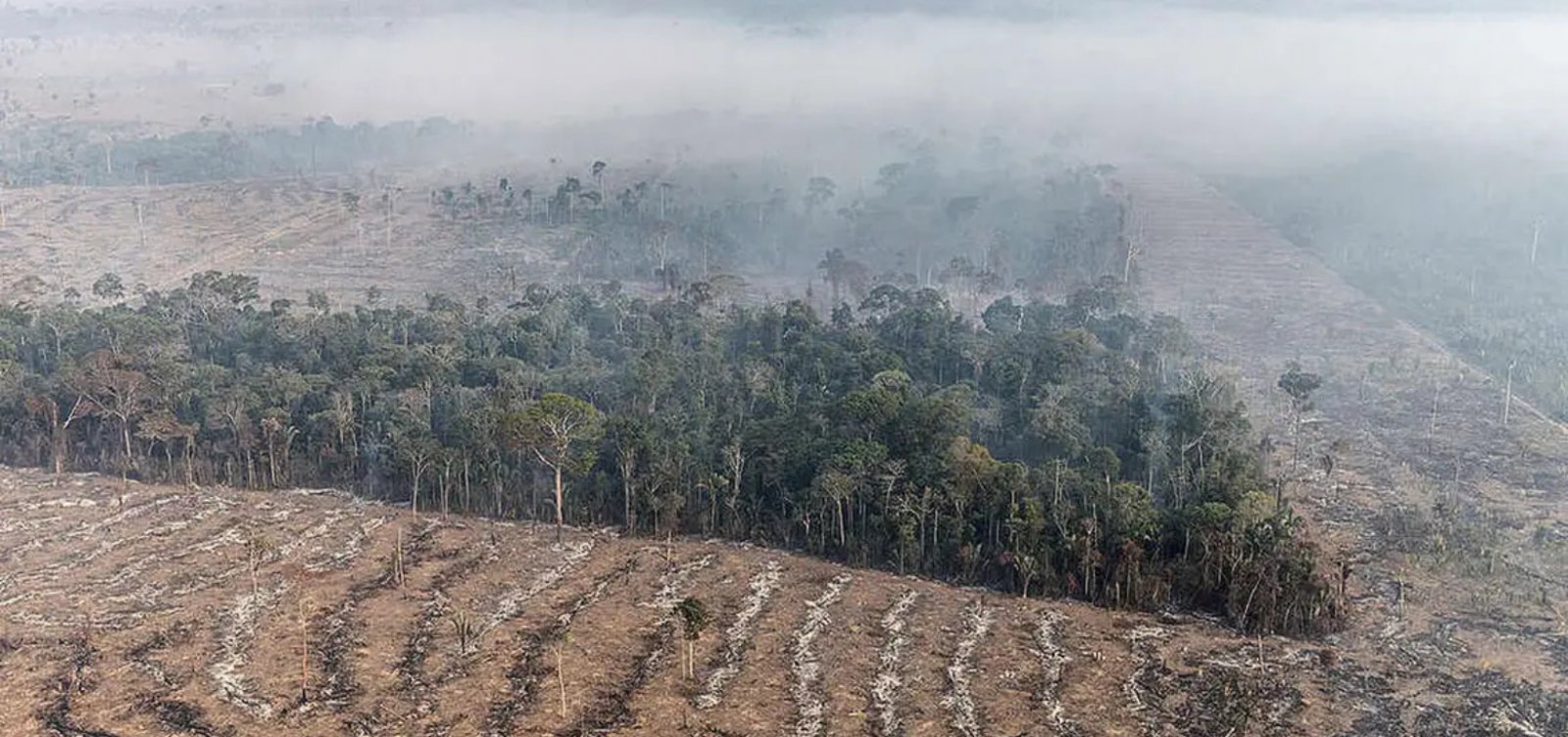 Fundo da Amazônia terá contribuição de R$ 91 milhões da Irlanda