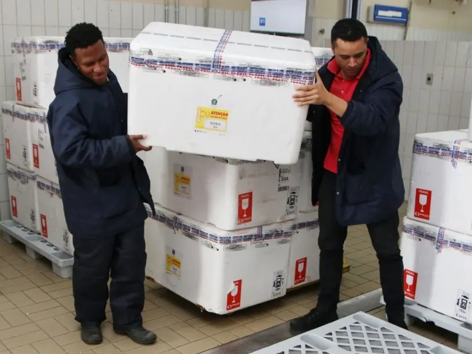 Bahia inicia distribuição de vacinas contra influenza nesta segunda-feira 
