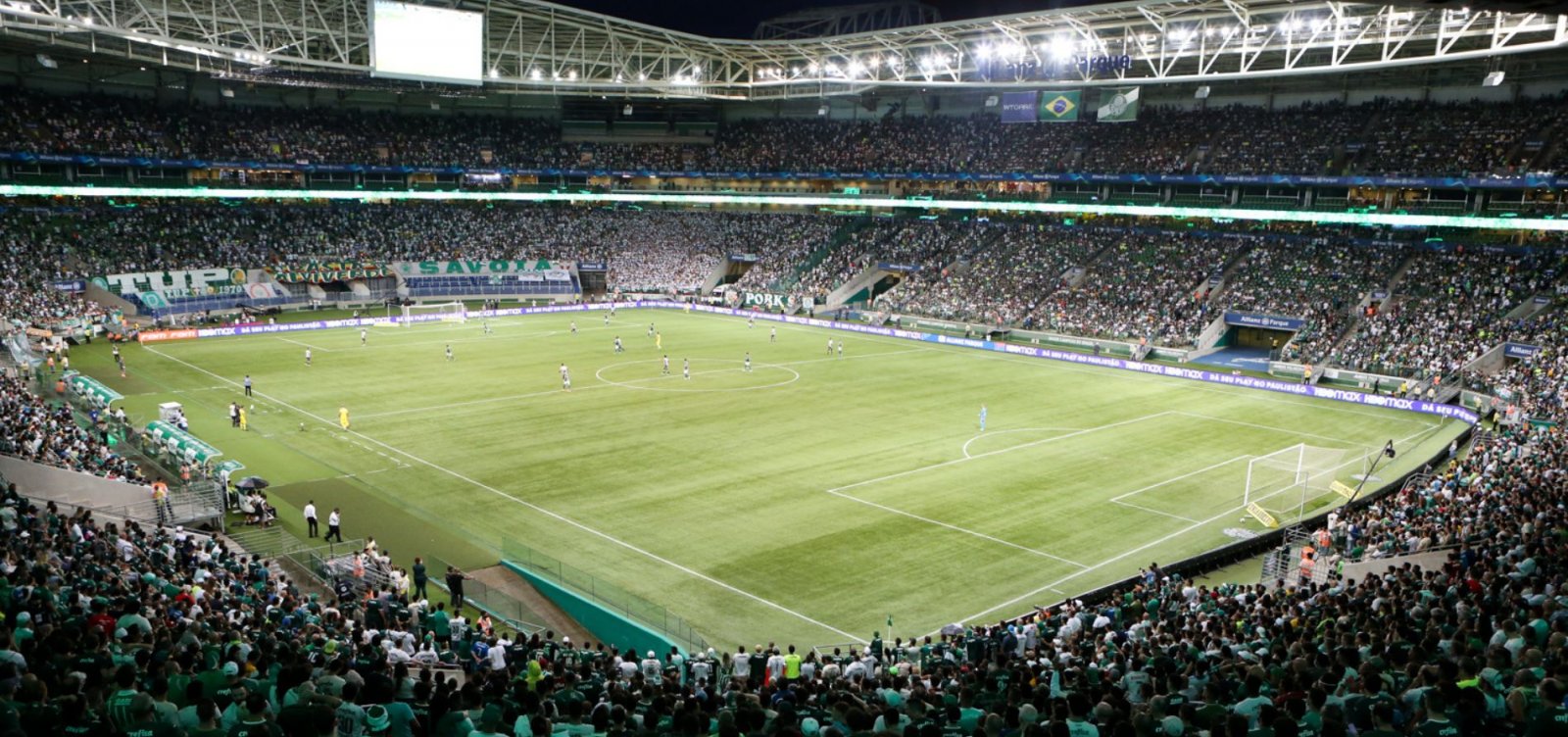 Palmeiras x Bahia: veja onde assistir, horário e prováveis escalações do jogo