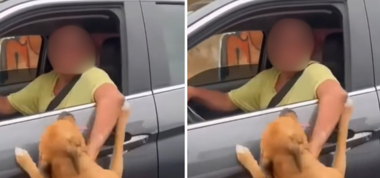 Mulher flagra abandono de cachorro na Praia do Flamengo