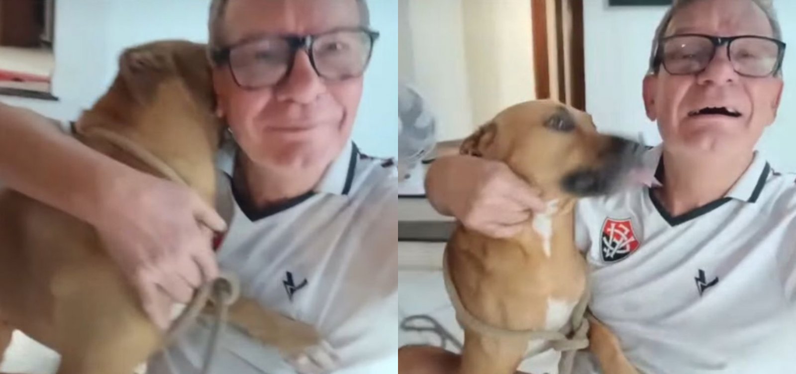Após viralização, homem nega abandono de cachorro em Salvador