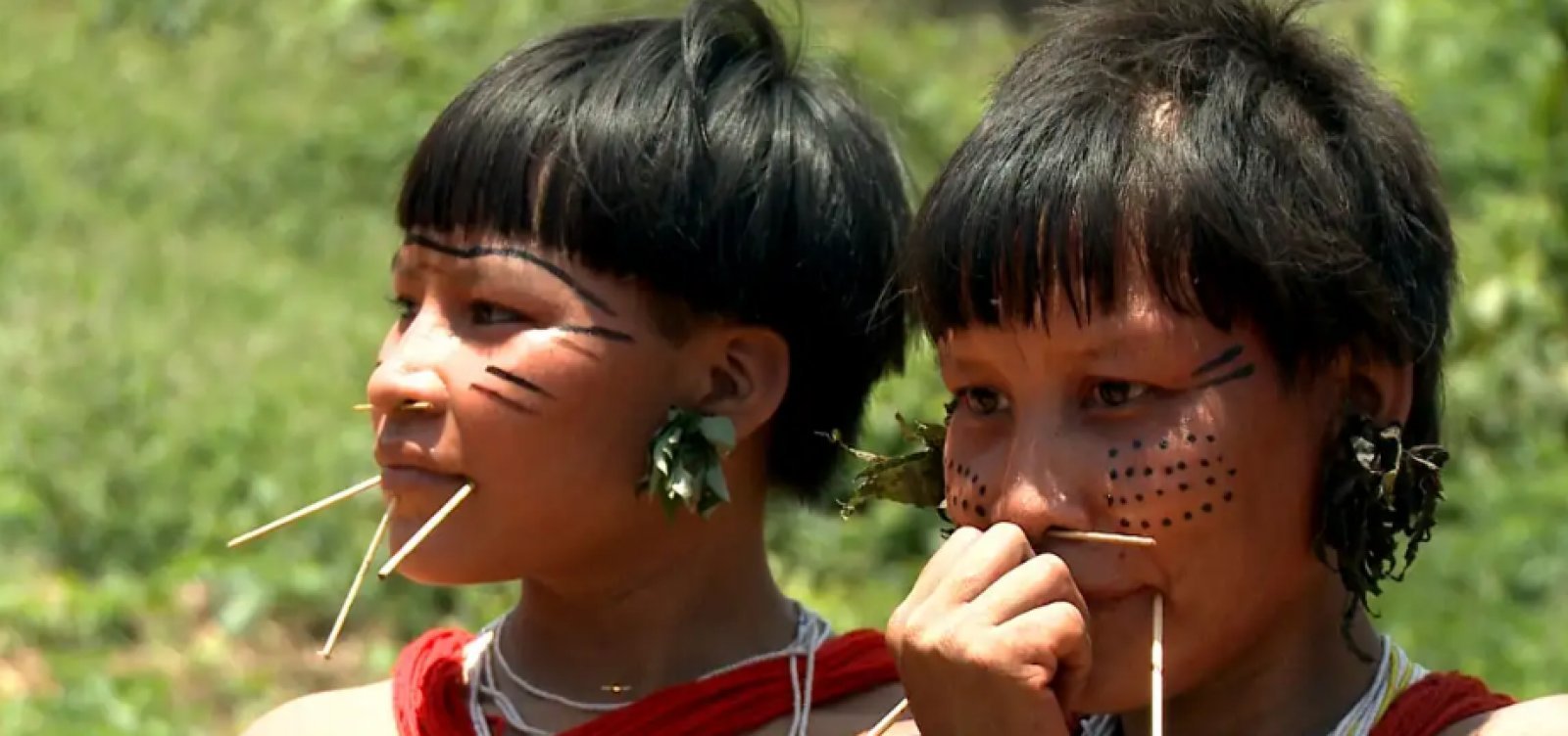 Óbitos na população Yanomami caem 21% em 2024, aponta Ministério da Saúde