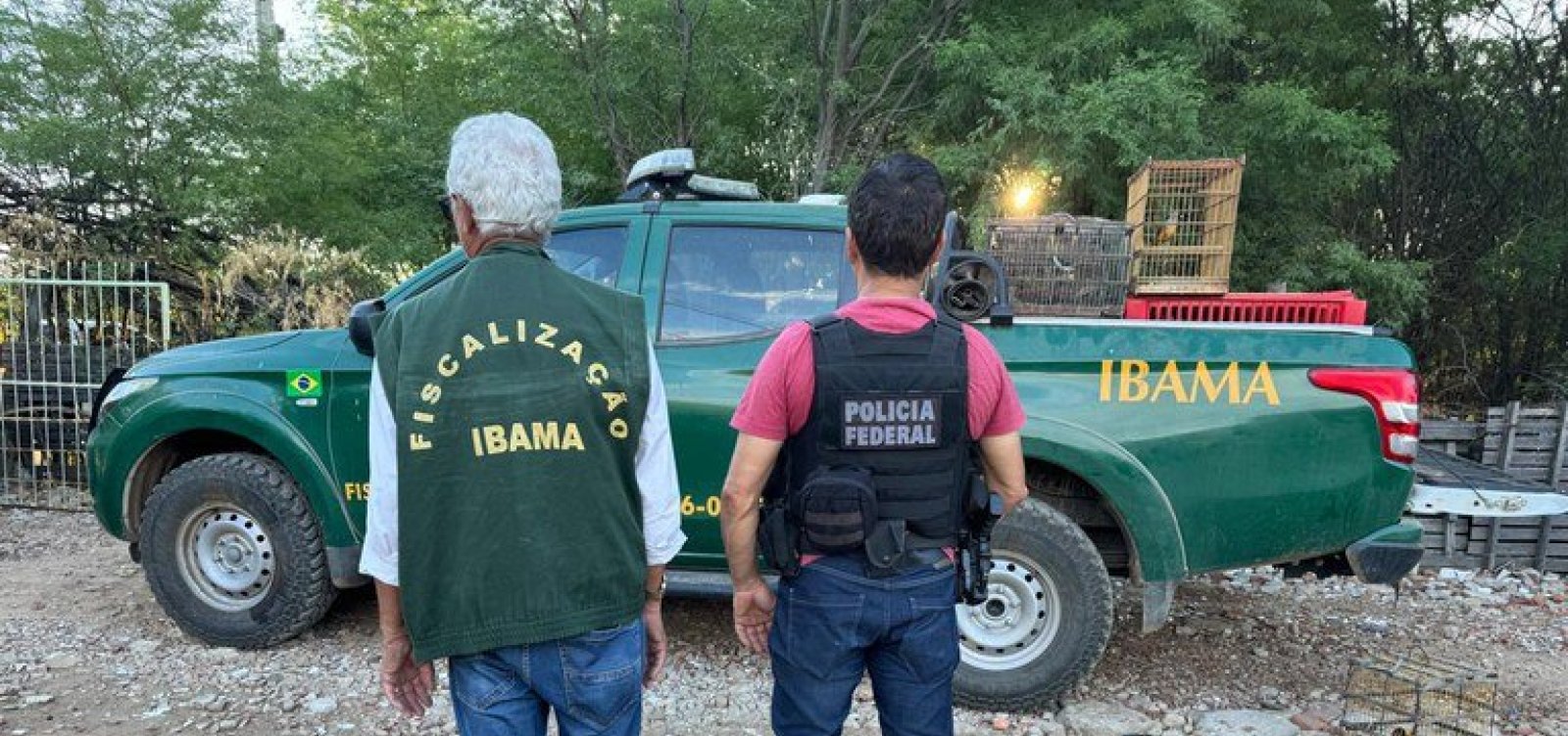Operação combate tráfico internacional de animais silvestres na Bahia