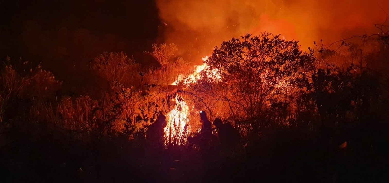 Ibama multa 242 pessoas por incêndios criminosos em 2024