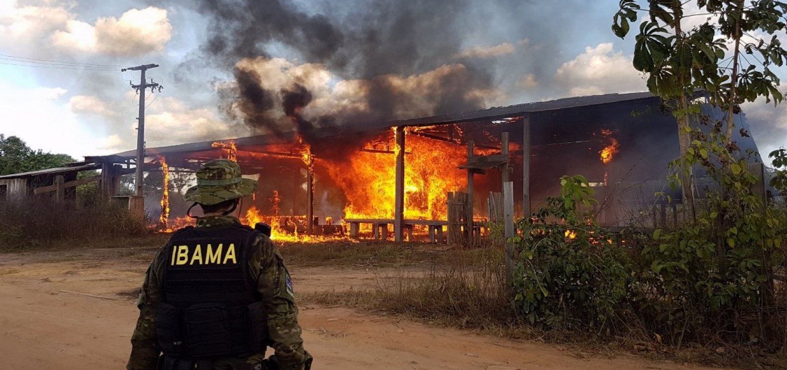 Ibama multa 242 pessoas por incêndios florestais criminosos em 2024