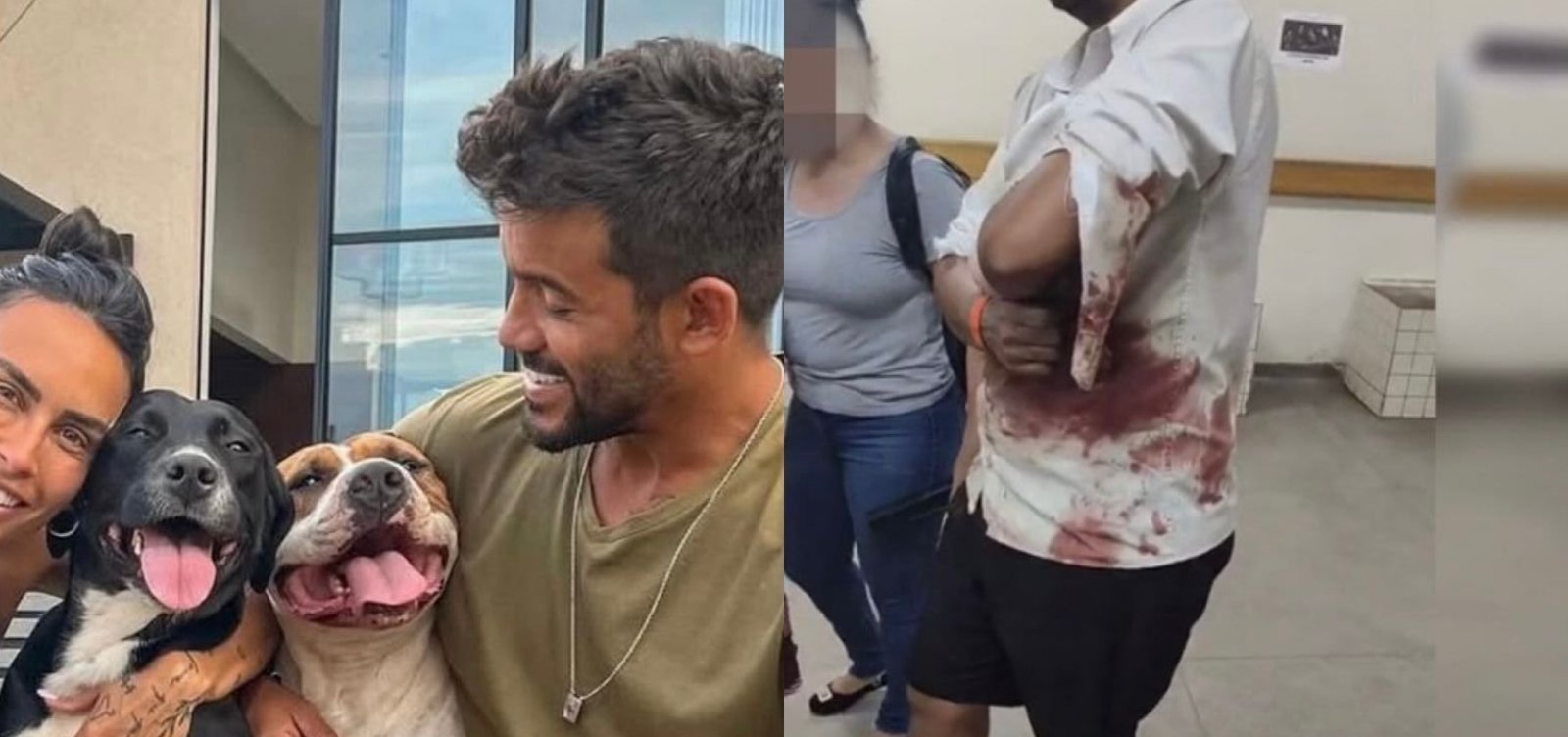Pintor é atacado por cães em casa de influencer