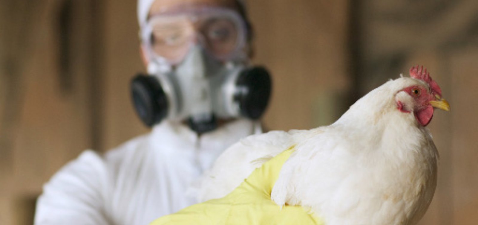 Governo pede que países não penalizem Brasil após caso de gripe aviária