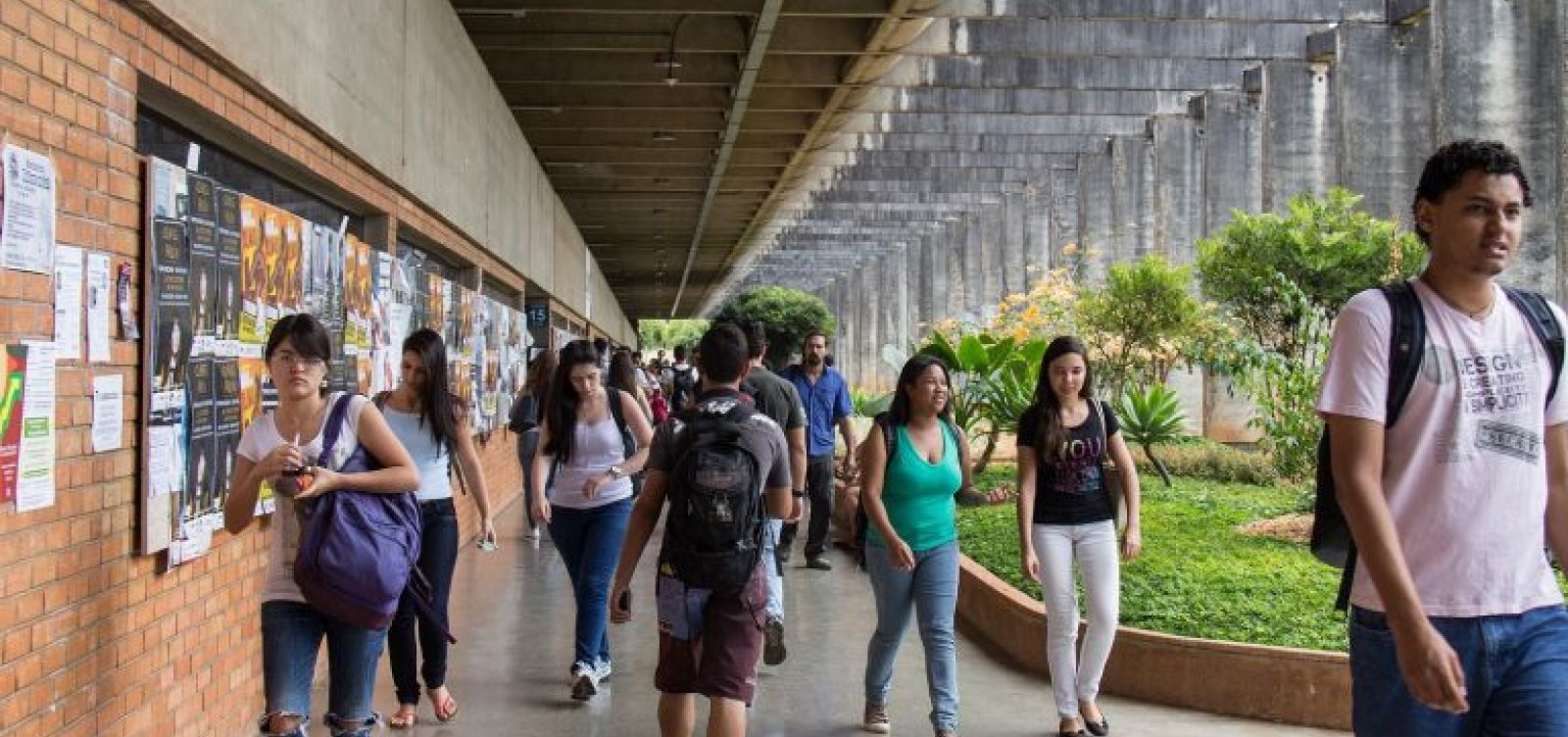 Prouni tem queda de adesão e acumula 2,5 milhões de vagas ociosas