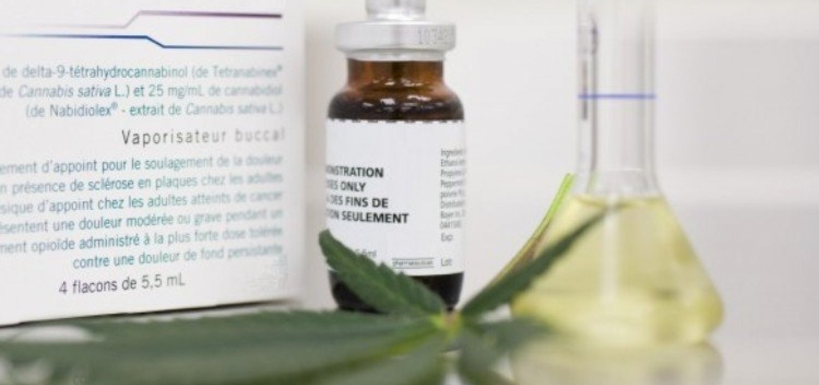 Governo apresenta plano para regular uso medicinal da cannabis