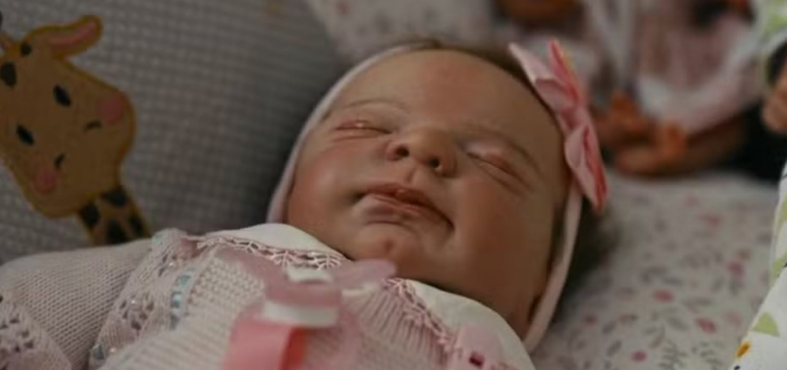Projeto de lei para barrar atendimento a bebês reborn é protocolado na CMS