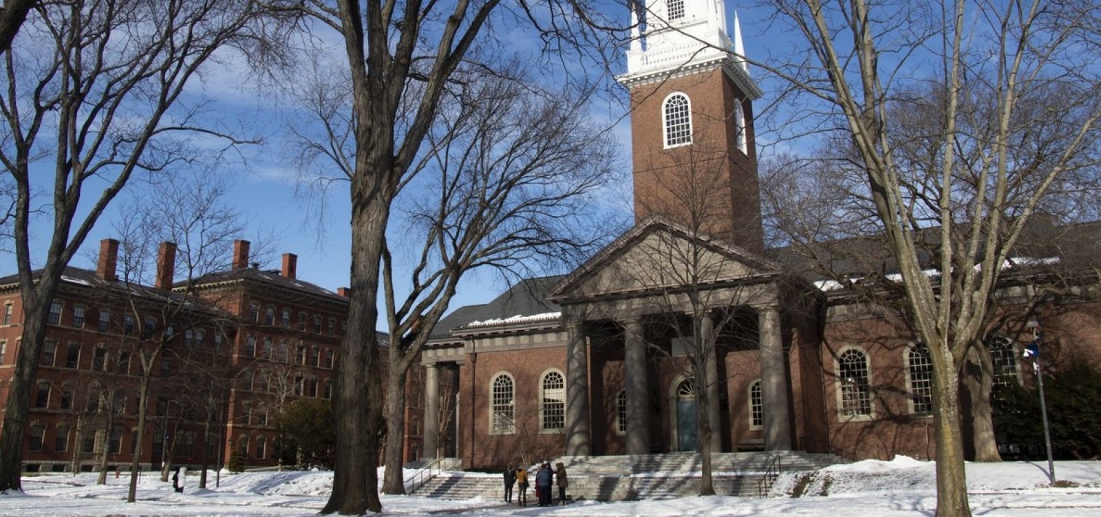 Harvard entra na Justiça contra o governo americano após proibições de Trump
