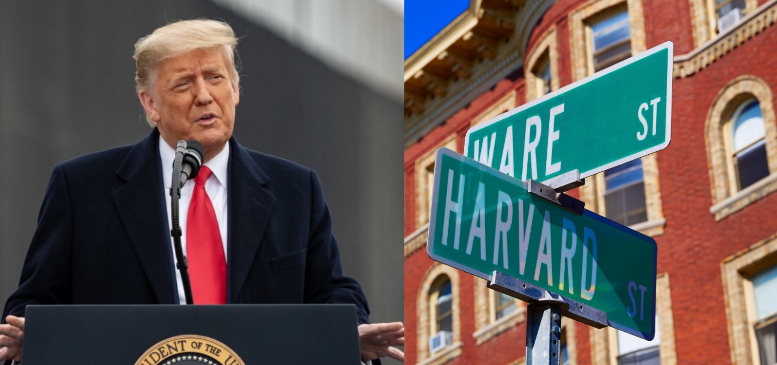 Trump ameaça repassar cerca de R$ 17 bilhões de subsídios de Harvard para escolas técnicas