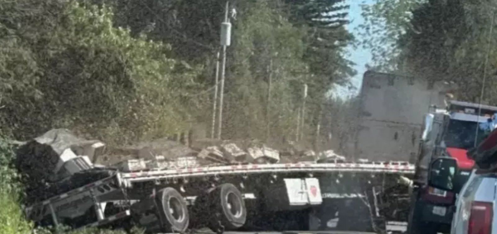 Caminhão tomba e solta 250 milhões de abelhas nos EUA