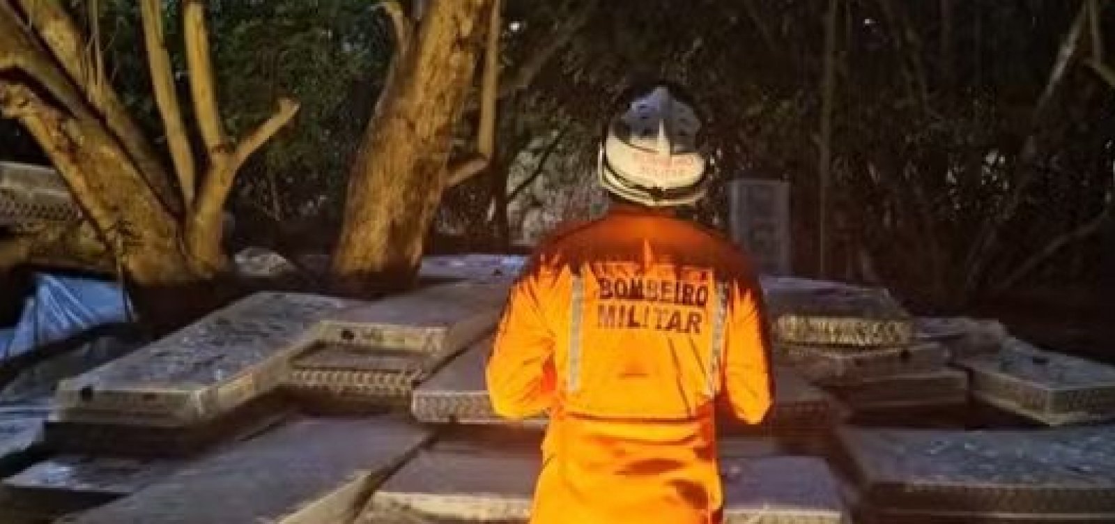 Resgate de homem em árvore na Base Aérea de Salvador já dura mais de 60 horas 