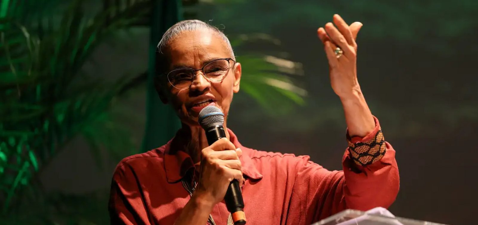 Marina chama novo licenciamento ambiental de “golpe mortal”