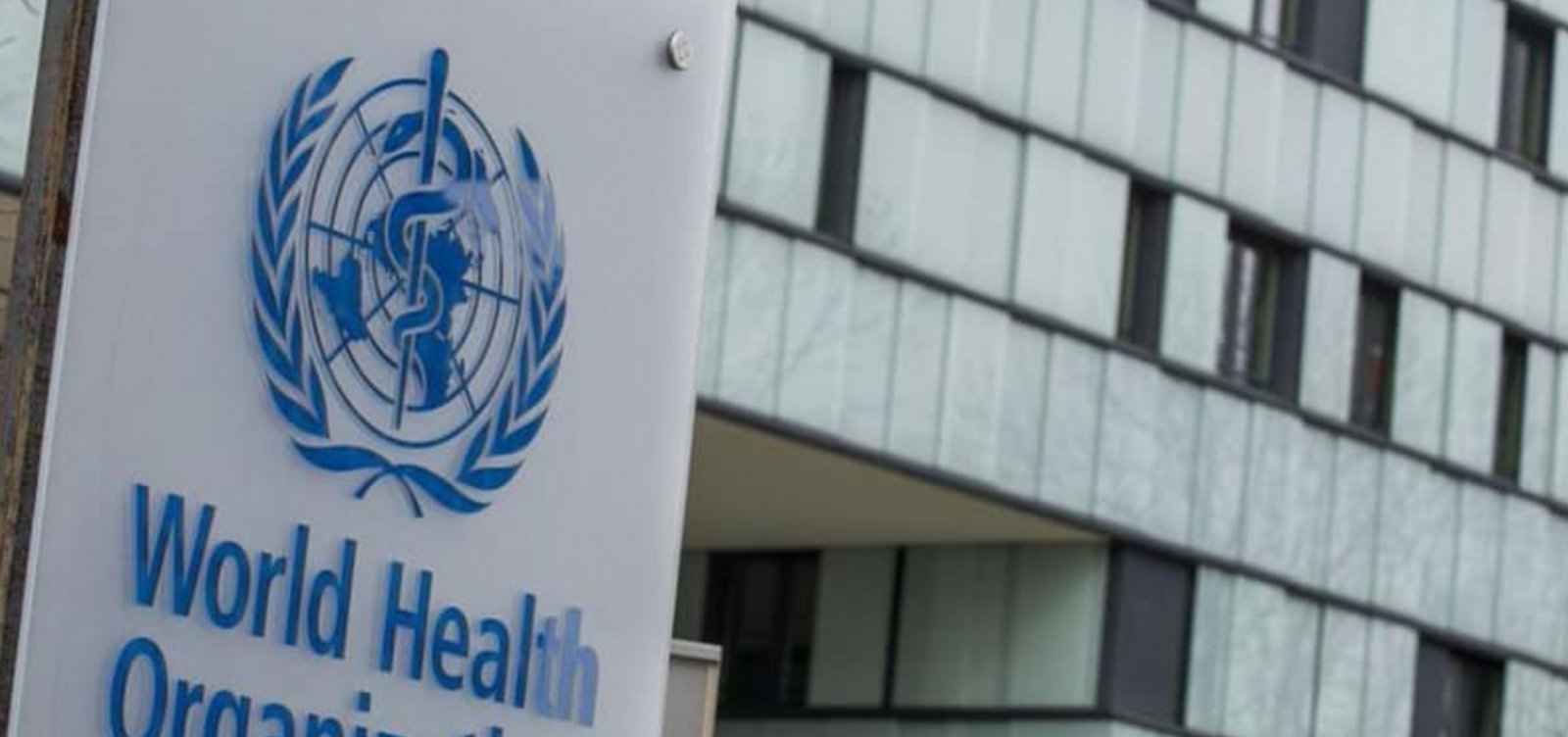 OMS: Mpox continua a ser emergência internacional de saúde