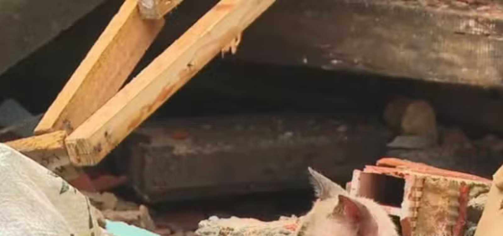 Imóvel de três andares desaba em Salvador; moradores fogem antes da tragédia