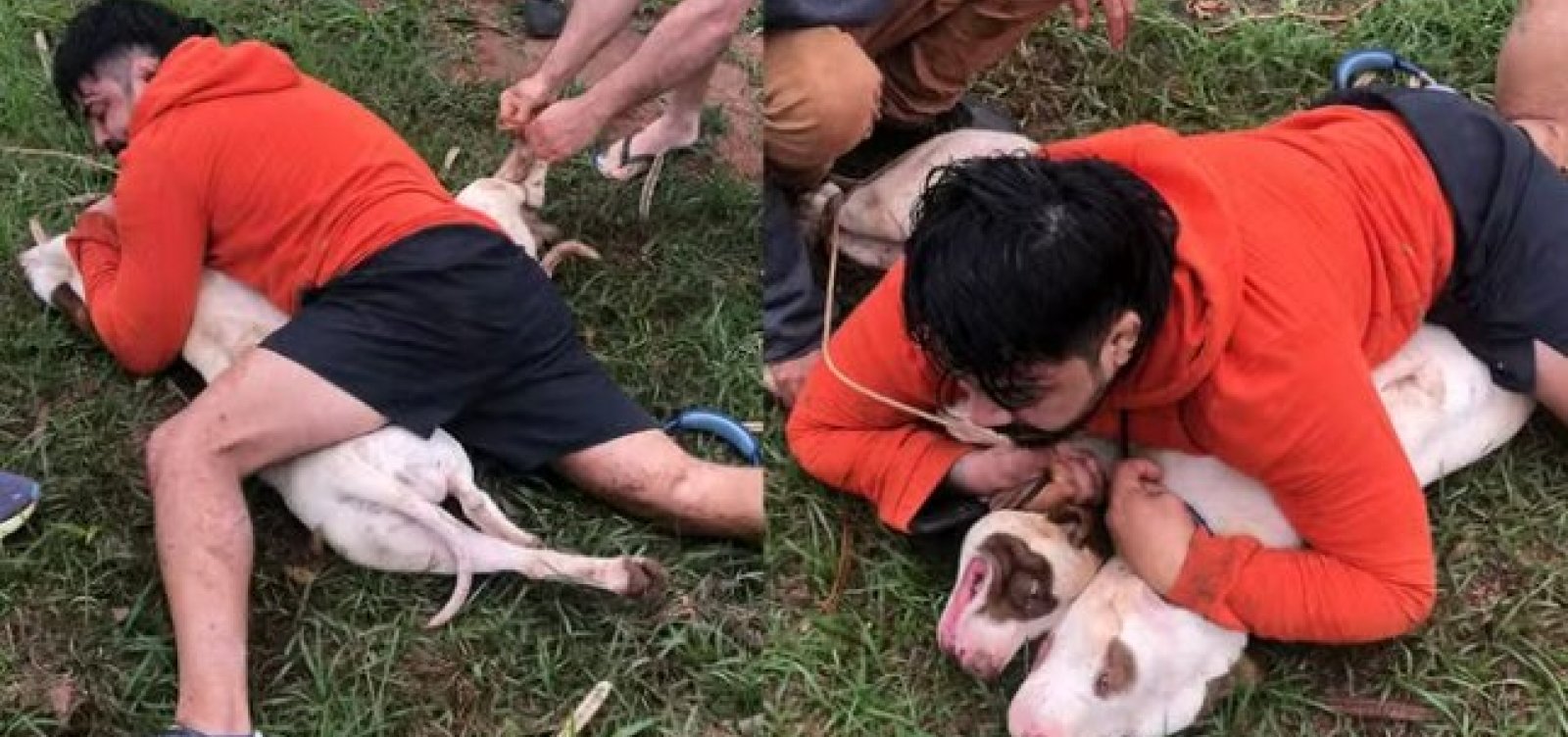 Lutador de muay thai imobiliza dois pitbulls após ser atacado na rua