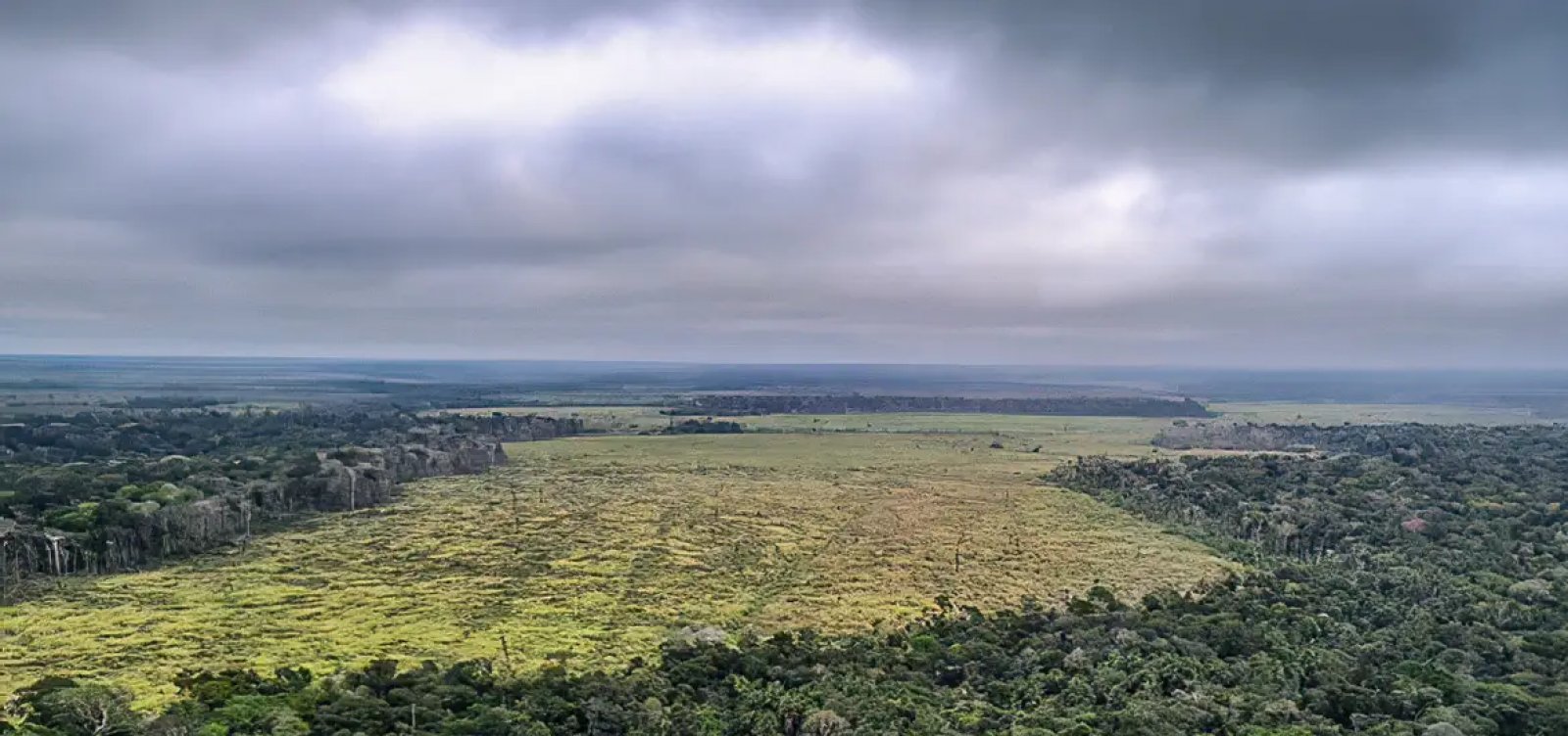 Desmatamento na Amazônia cresce 27% no 1º semestre de 2025