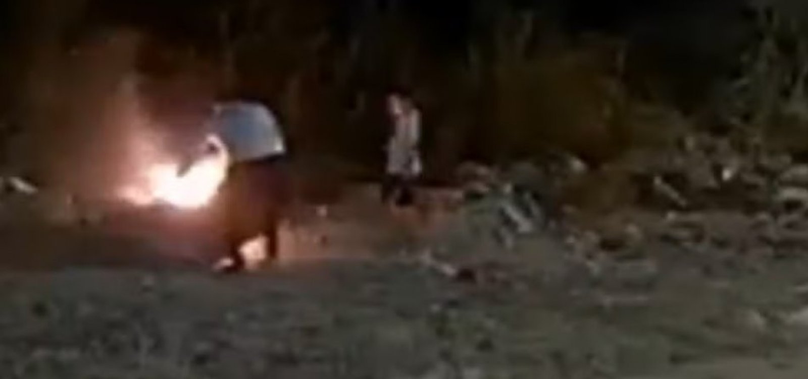 Incêndio toma conta de vegetação após homem atear fogo em sofá na Bahia