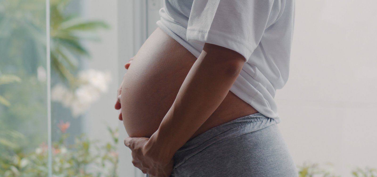 MPBA lança aplicativo para ajudar gestantes no pré e pós-parto