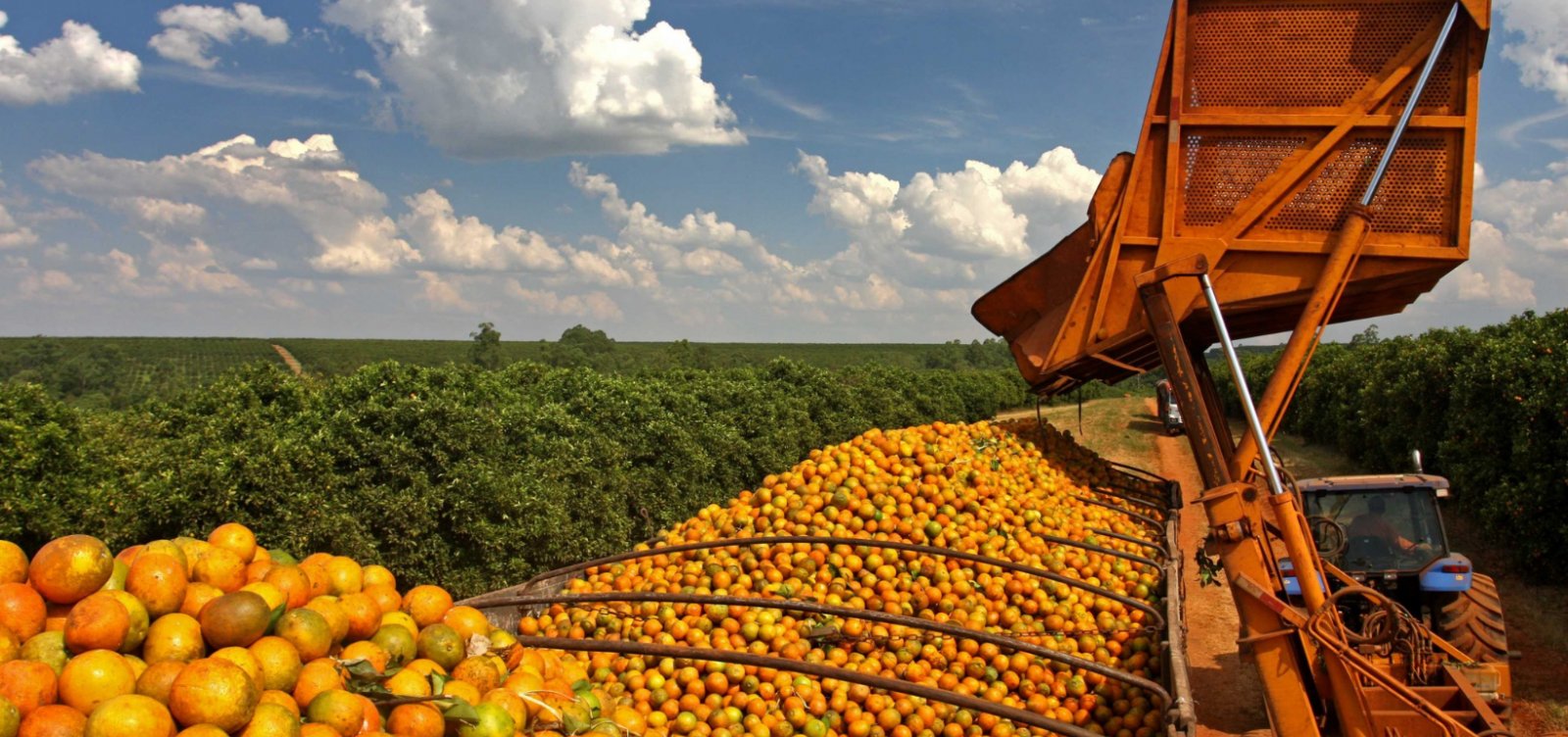 Trump poupa aviões, petróleo e suco de laranja de tarifaço contra o Brasil; veja a lista completa