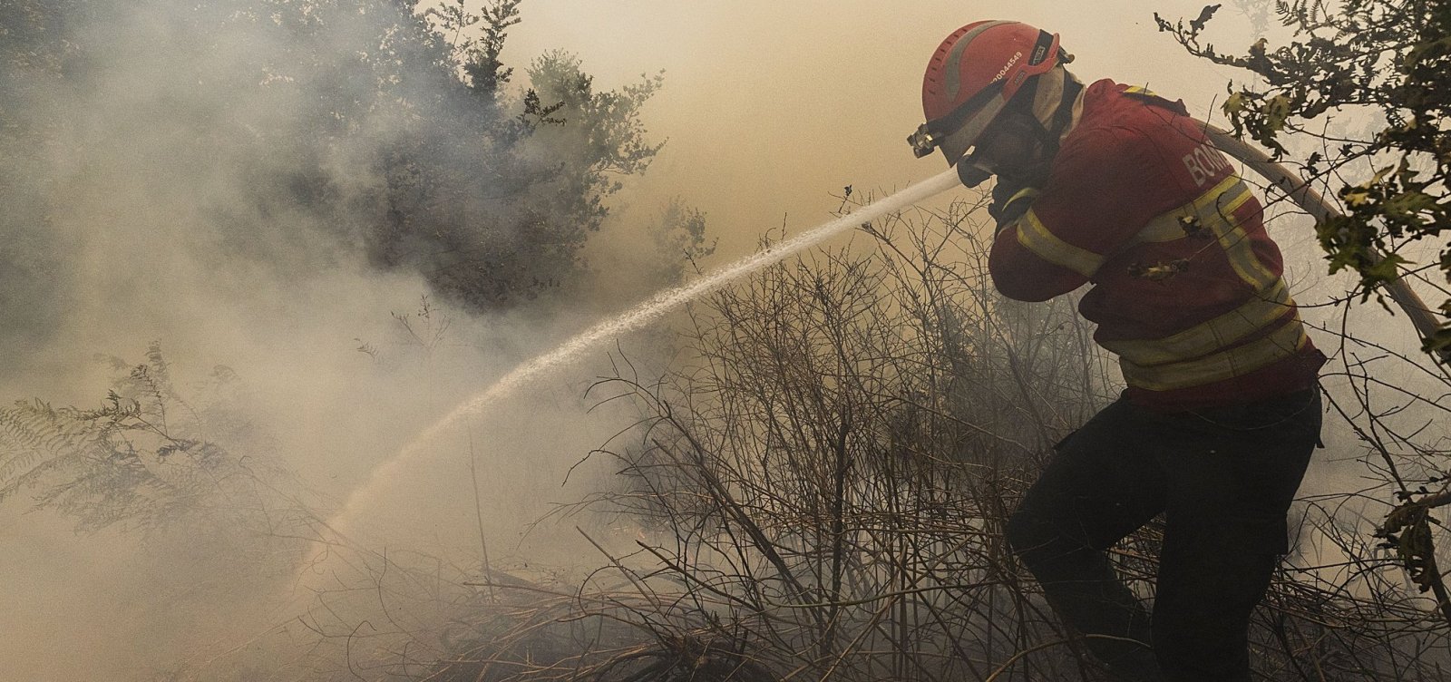 Portugal entra em alerta com alto risco de incêndios