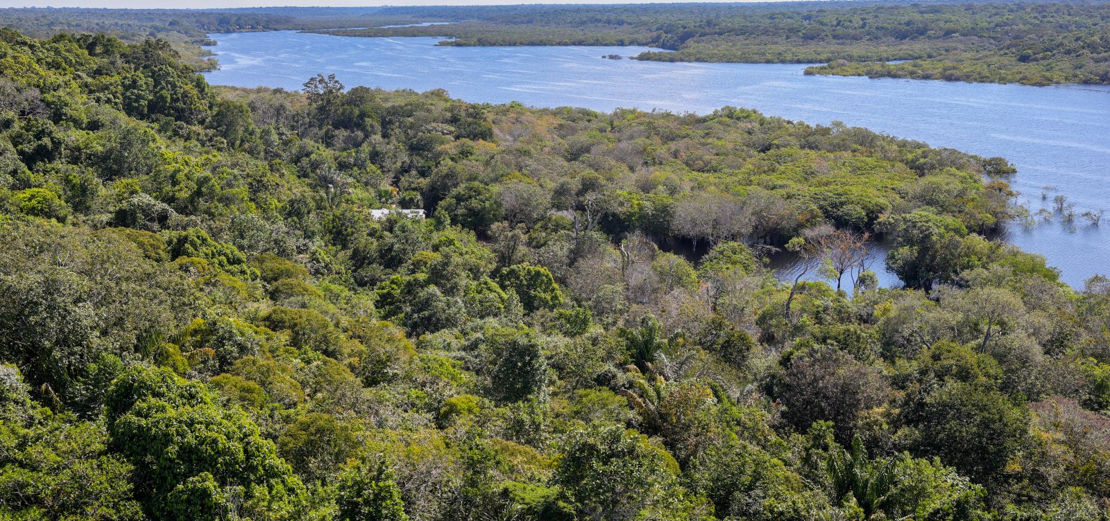 Governo Lula veta 63 trechos da PL da Devastação e vai enviar ao Congresso novo projeto com correções