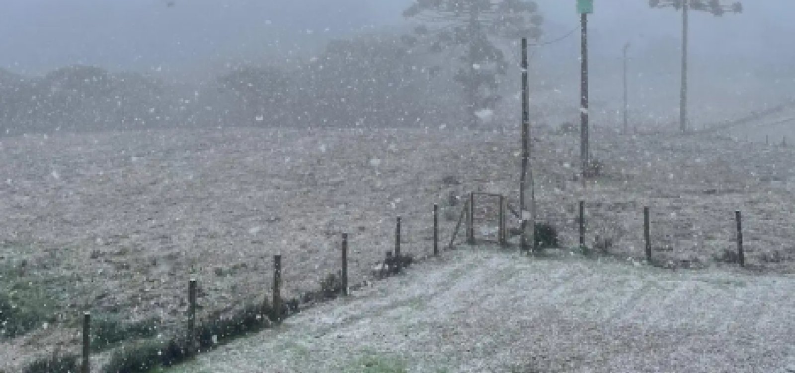 Com mínimas perto de 0ºC, Rio Grande do Sul registra neve neste sábado