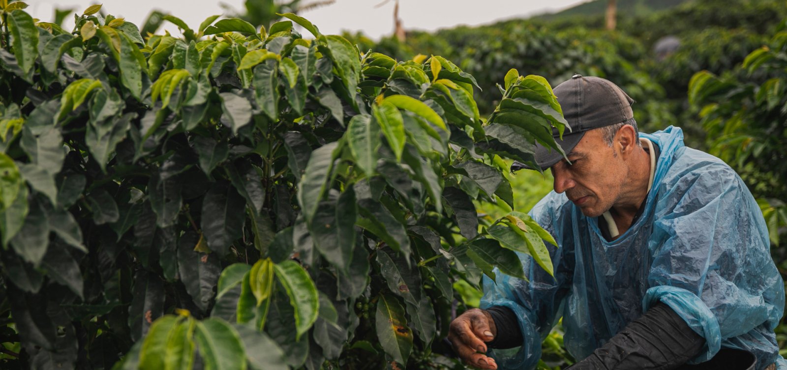 Bahia recebe mais de R$ 141 milhões em impulsionamento para agronegócio